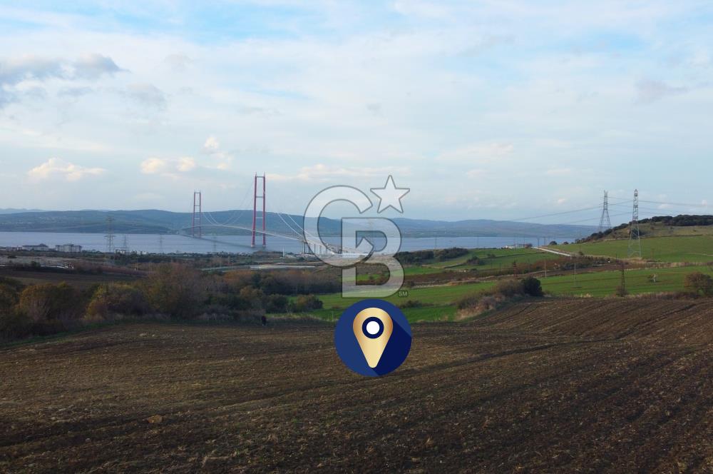 Çanakkale Lapseki Gsp Resmi Yol ve Boğaz Manzaralı 5042m² Tarla