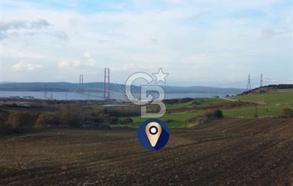 Çanakkale Lapseki Gsp Resmi Yol ve Boğaz Manzaralı 5042m² Tarla