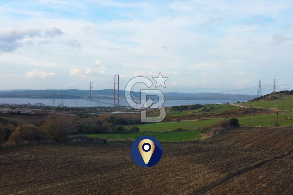 Çanakkale Lapseki Gsp Resmi Yol ve Boğaz Manzaralı 5042m² Tarla