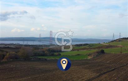 Çanakkale Lapseki Gsp Resmi Yol ve Boğaz Manzaralı 5042m² Tarla