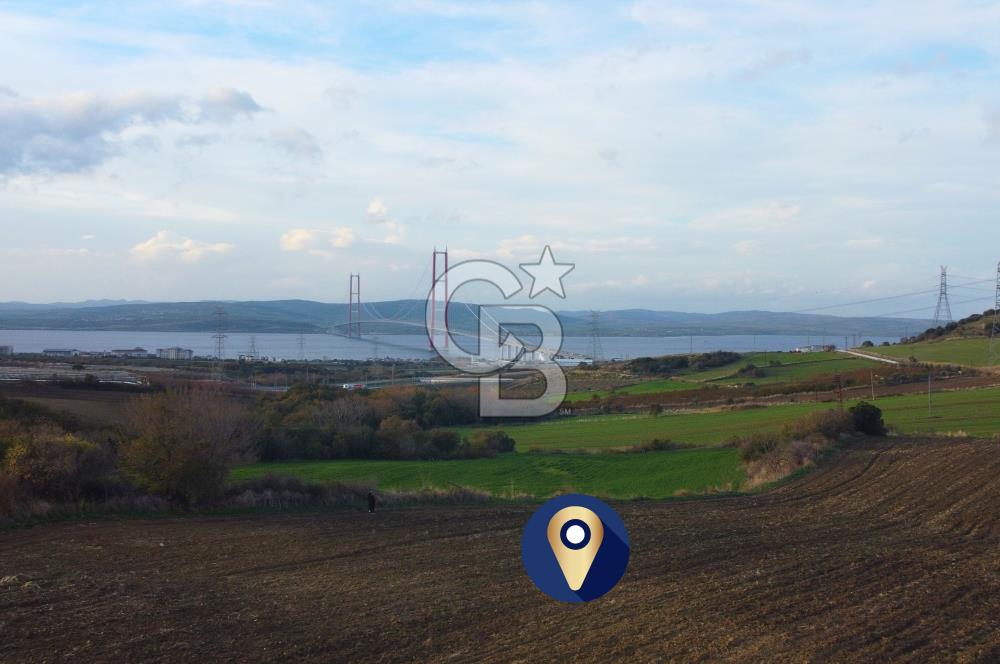 Çanakkale Lapseki Gsp Resmi Yol ve Boğaz Manzaralı 5042m² Tarla
