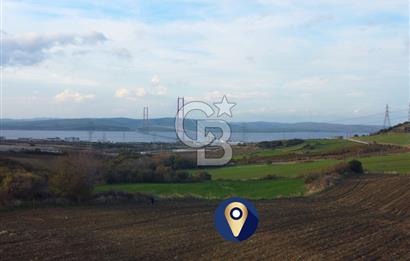 Çanakkale Lapseki Gsp Resmi Yol ve Boğaz Manzaralı 5042m² Tarla