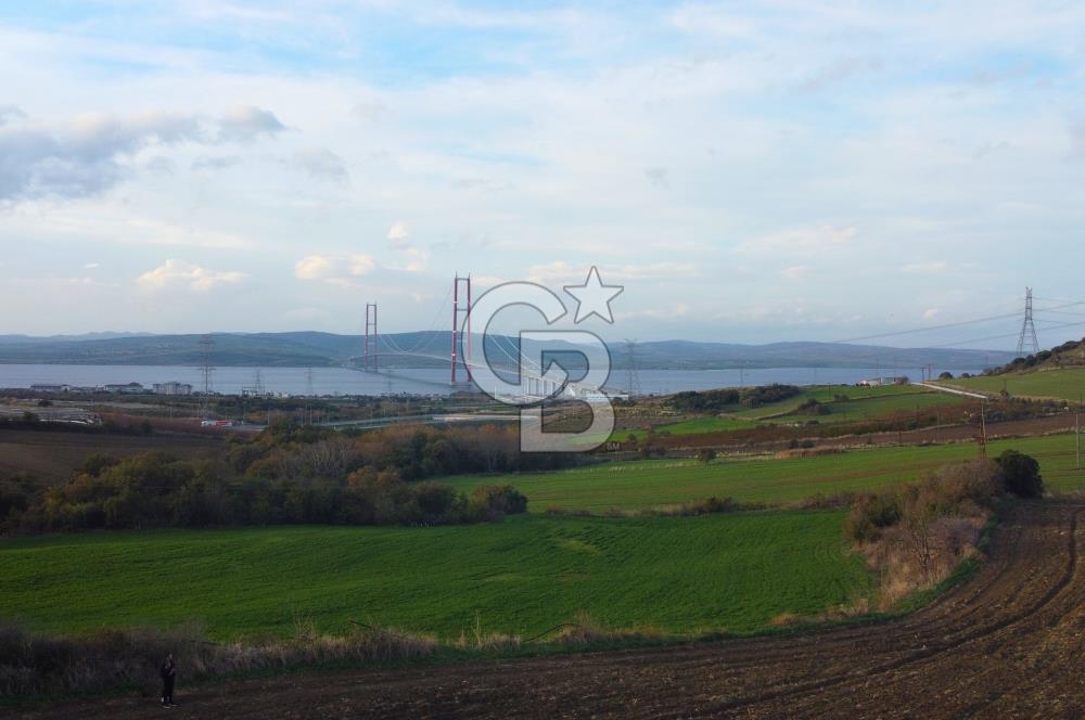 Çanakkale Lapseki Gsp Resmi Yol ve Boğaz Manzaralı 5042m² Tarla