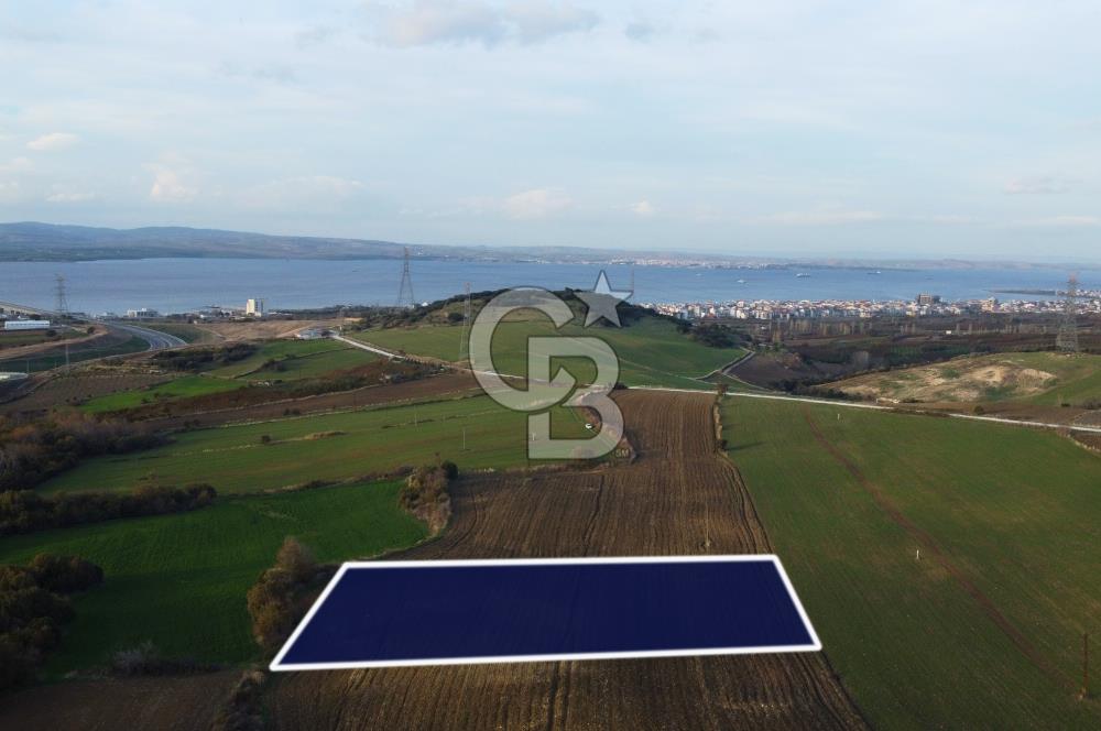 Çanakkale Lapseki Gsp Resmi Yol ve Boğaz Manzaralı 5042m² Tarla
