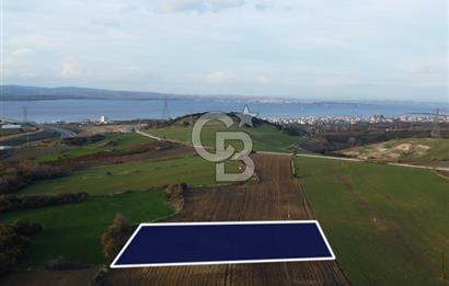 Çanakkale Lapseki Gsp Resmi Yol ve Boğaz Manzaralı 5042m² Tarla