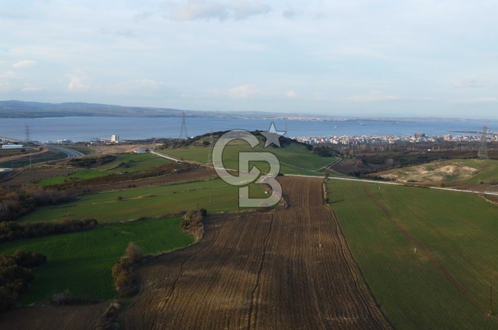Çanakkale Lapseki Gsp Resmi Yol ve Boğaz Manzaralı 5042m² Tarla