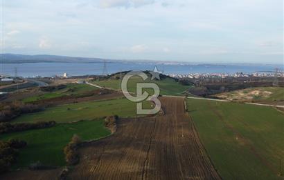 Çanakkale Lapseki Gsp Resmi Yol ve Boğaz Manzaralı 5042m² Tarla