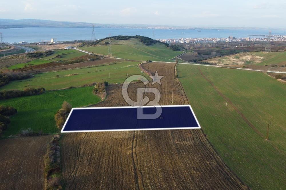 Çanakkale Lapseki Gsp Resmi Yol ve Boğaz Manzaralı 5042m² Tarla