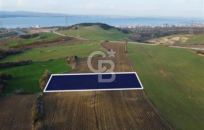 Çanakkale Lapseki Gsp Resmi Yol ve Boğaz Manzaralı 5042m² Tarla