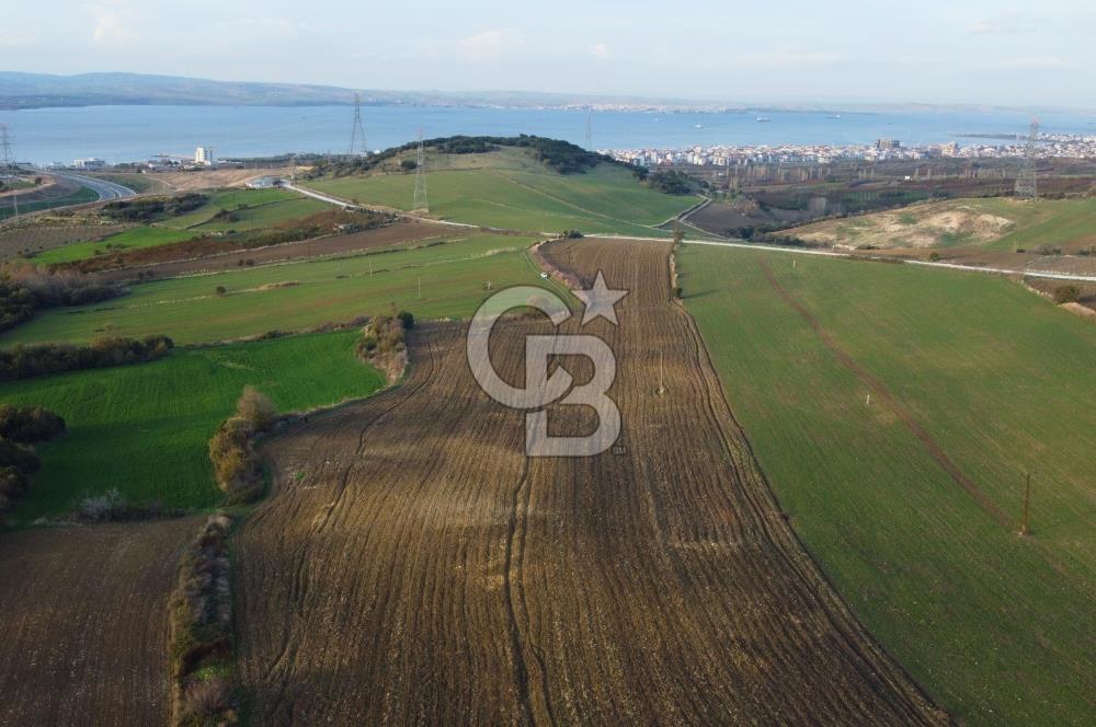 Çanakkale Lapseki Gsp Resmi Yol ve Boğaz Manzaralı 5042m² Tarla