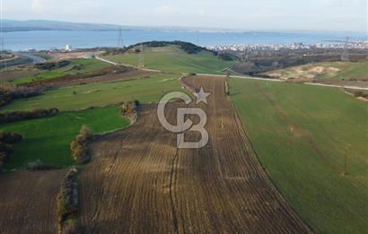 Çanakkale Lapseki Gsp Resmi Yol ve Boğaz Manzaralı 5042m² Tarla