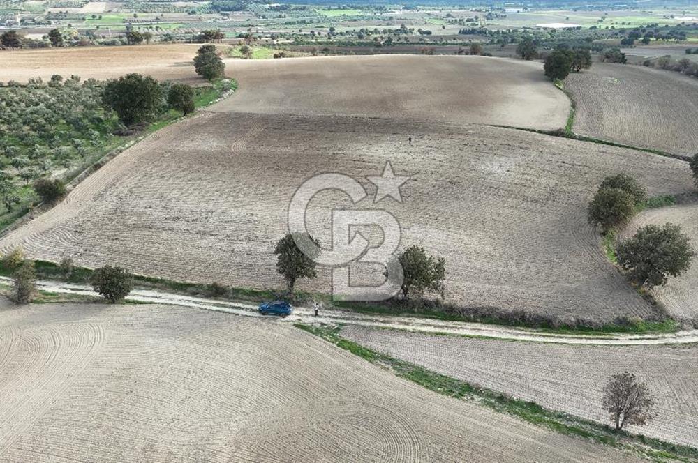 İNTEPE'DE DENİZ MANZARALI YOLU OLAN FIRSAT TARLA!!!