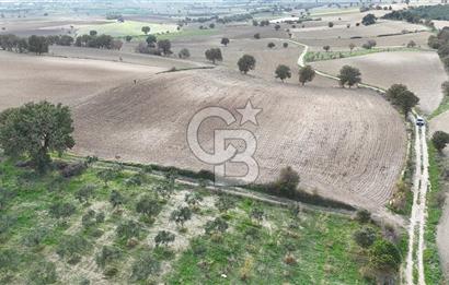 İNTEPE'DE DENİZ MANZARALI YOLU OLAN FIRSAT TARLA!!!