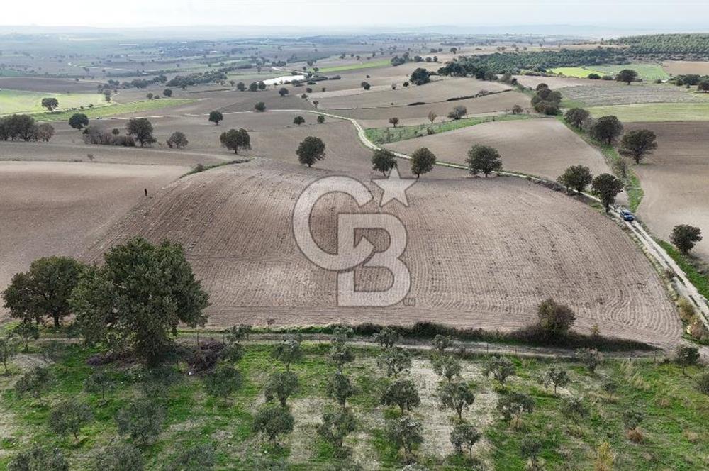 İNTEPE'DE DENİZ MANZARALI YOLU OLAN FIRSAT TARLA!!!