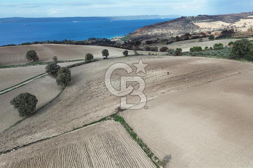 İNTEPE'DE DENİZ MANZARALI YOLU OLAN FIRSAT TARLA!!!