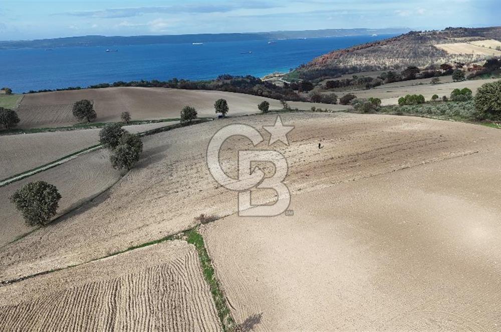 İNTEPE'DE DENİZ MANZARALI YOLU OLAN FIRSAT TARLA!!!