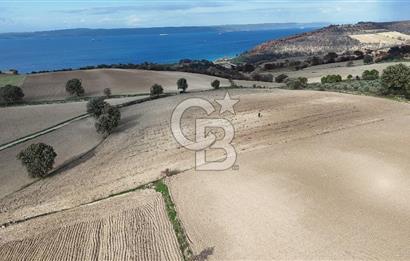 İNTEPE'DE DENİZ MANZARALI YOLU OLAN FIRSAT TARLA!!!