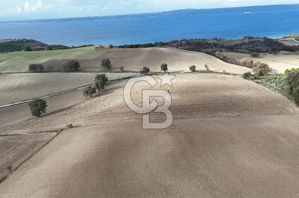 İNTEPE'DE DENİZ MANZARALI YOLU OLAN FIRSAT TARLA!!!