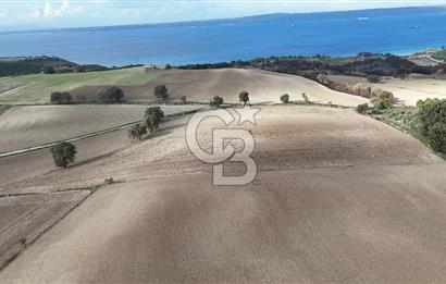 İNTEPE'DE DENİZ MANZARALI YOLU OLAN FIRSAT TARLA!!!