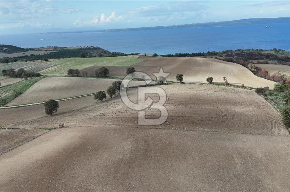 İNTEPE'DE DENİZ MANZARALI YOLU OLAN FIRSAT TARLA!!!