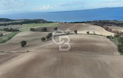 İNTEPE'DE DENİZ MANZARALI YOLU OLAN FIRSAT TARLA!!!