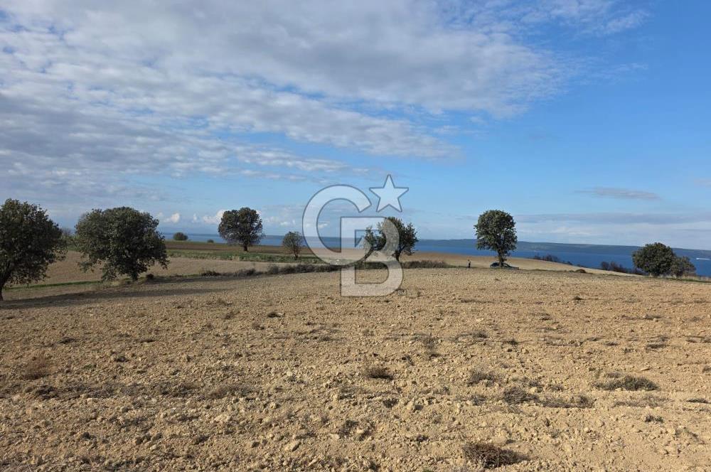 İNTEPE'DE DENİZ MANZARALI YOLU OLAN FIRSAT TARLA!!!