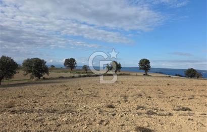 İNTEPE'DE DENİZ MANZARALI YOLU OLAN FIRSAT TARLA!!!