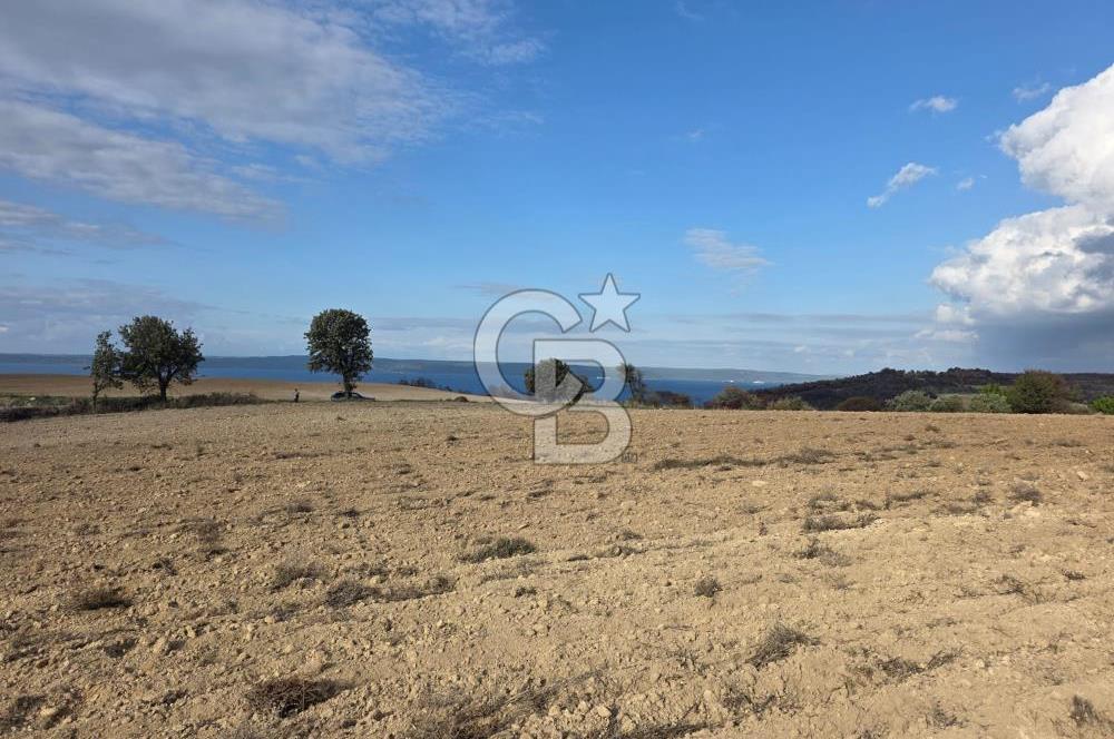 İNTEPE'DE DENİZ MANZARALI YOLU OLAN FIRSAT TARLA!!!