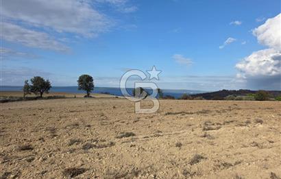 İNTEPE'DE DENİZ MANZARALI YOLU OLAN FIRSAT TARLA!!!