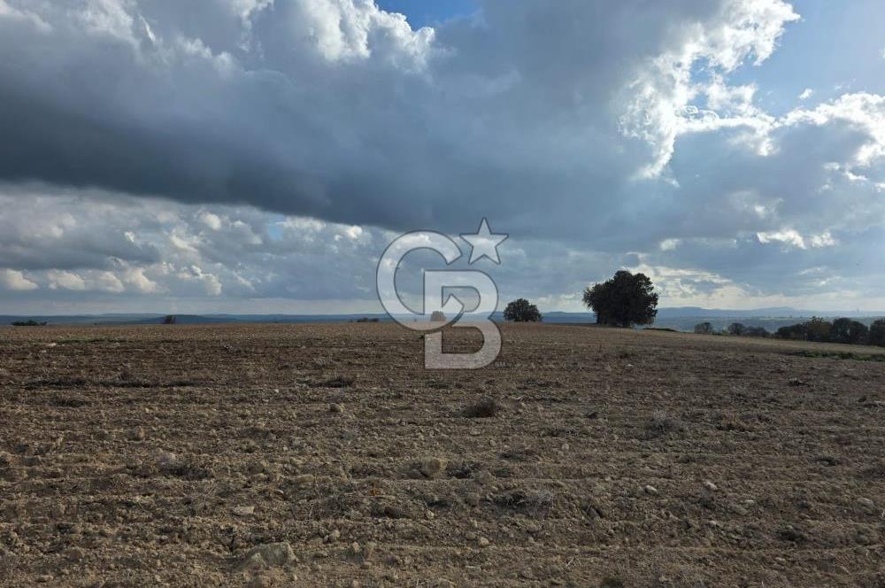 İNTEPE'DE DENİZ MANZARALI YOLU OLAN FIRSAT TARLA!!!