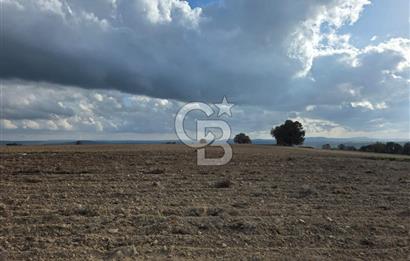İNTEPE'DE DENİZ MANZARALI YOLU OLAN FIRSAT TARLA!!!