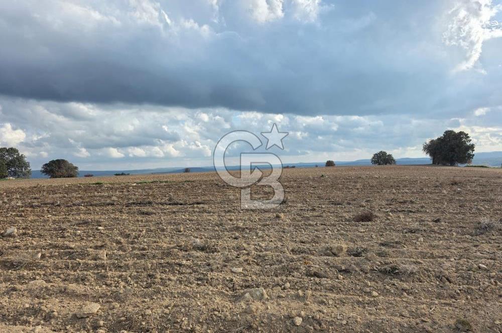 İNTEPE'DE DENİZ MANZARALI YOLU OLAN FIRSAT TARLA!!!