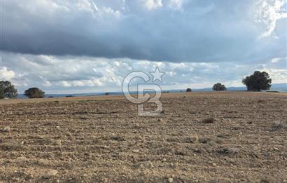 İNTEPE'DE DENİZ MANZARALI YOLU OLAN FIRSAT TARLA!!!