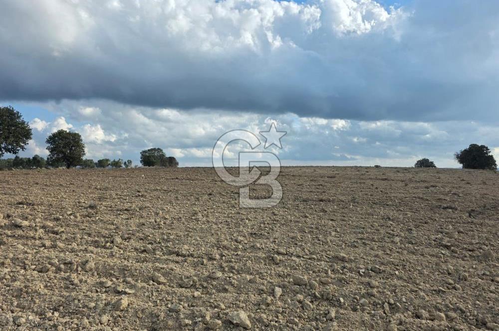 İNTEPE'DE DENİZ MANZARALI YOLU OLAN FIRSAT TARLA!!!