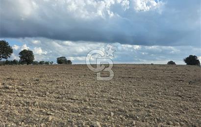 İNTEPE'DE DENİZ MANZARALI YOLU OLAN FIRSAT TARLA!!!