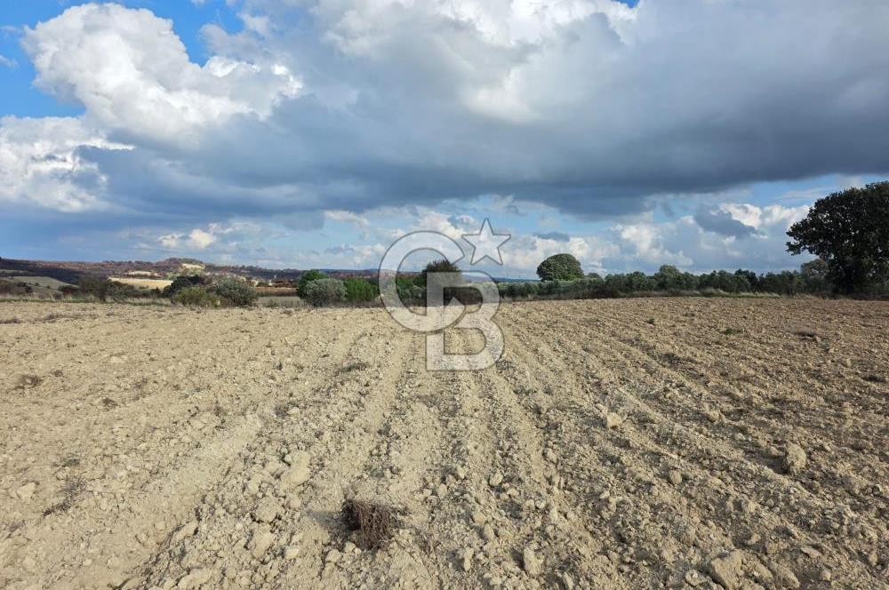 İNTEPE'DE DENİZ MANZARALI YOLU OLAN FIRSAT TARLA!!!