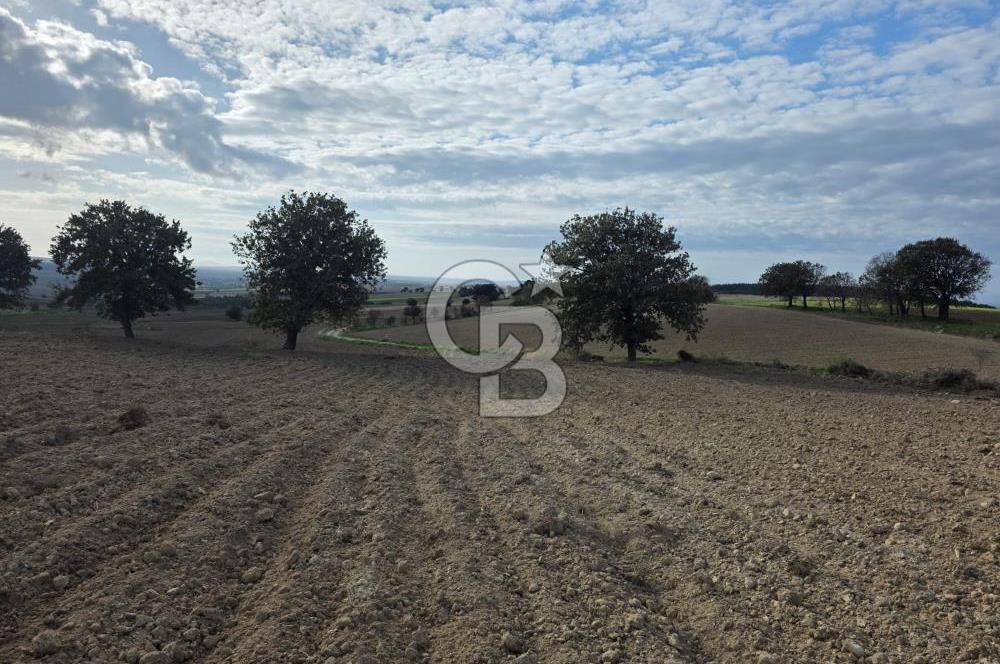 İNTEPE'DE DENİZ MANZARALI YOLU OLAN FIRSAT TARLA!!!