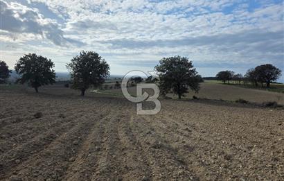 İNTEPE'DE DENİZ MANZARALI YOLU OLAN FIRSAT TARLA!!!