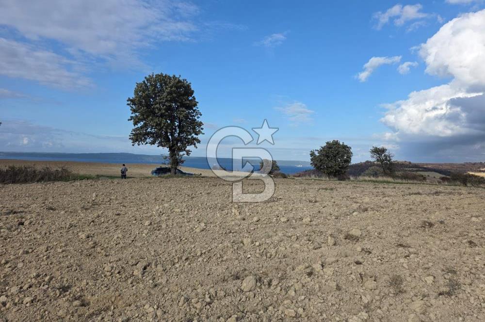 İNTEPE'DE DENİZ MANZARALI YOLU OLAN FIRSAT TARLA!!!