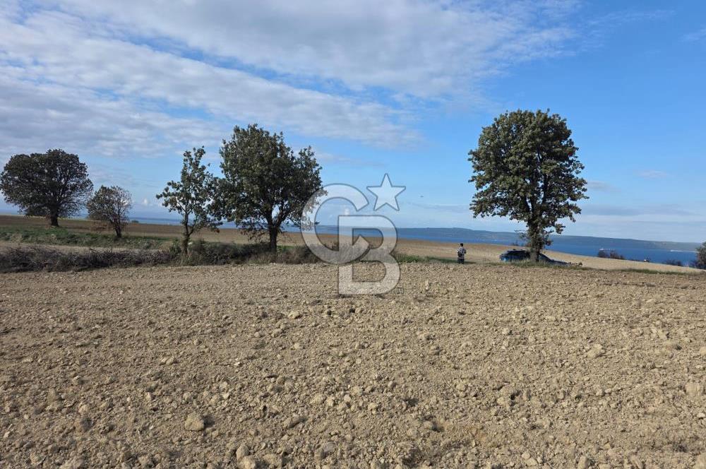 İNTEPE'DE DENİZ MANZARALI YOLU OLAN FIRSAT TARLA!!!