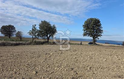 İNTEPE'DE DENİZ MANZARALI YOLU OLAN FIRSAT TARLA!!!