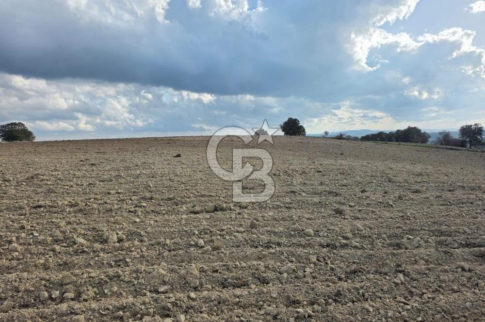 İNTEPE'DE DENİZ MANZARALI YOLU OLAN FIRSAT TARLA!!!