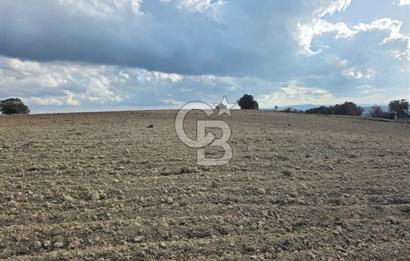 İNTEPE'DE DENİZ MANZARALI YOLU OLAN FIRSAT TARLA!!!