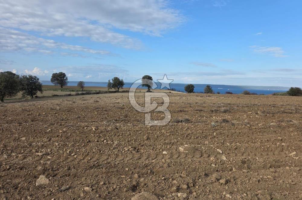 İNTEPE'DE DENİZ MANZARALI YOLU OLAN FIRSAT TARLA!!!