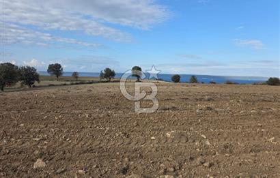 İNTEPE'DE DENİZ MANZARALI YOLU OLAN FIRSAT TARLA!!!