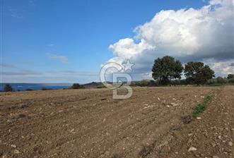 İNTEPE'DE DENİZ MANZARALI YOLU OLAN FIRSAT TARLA!!! - 1 - 318391