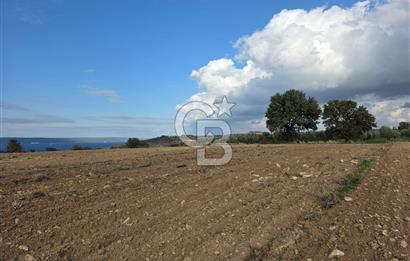 İNTEPE'DE DENİZ MANZARALI YOLU OLAN FIRSAT TARLA!!!