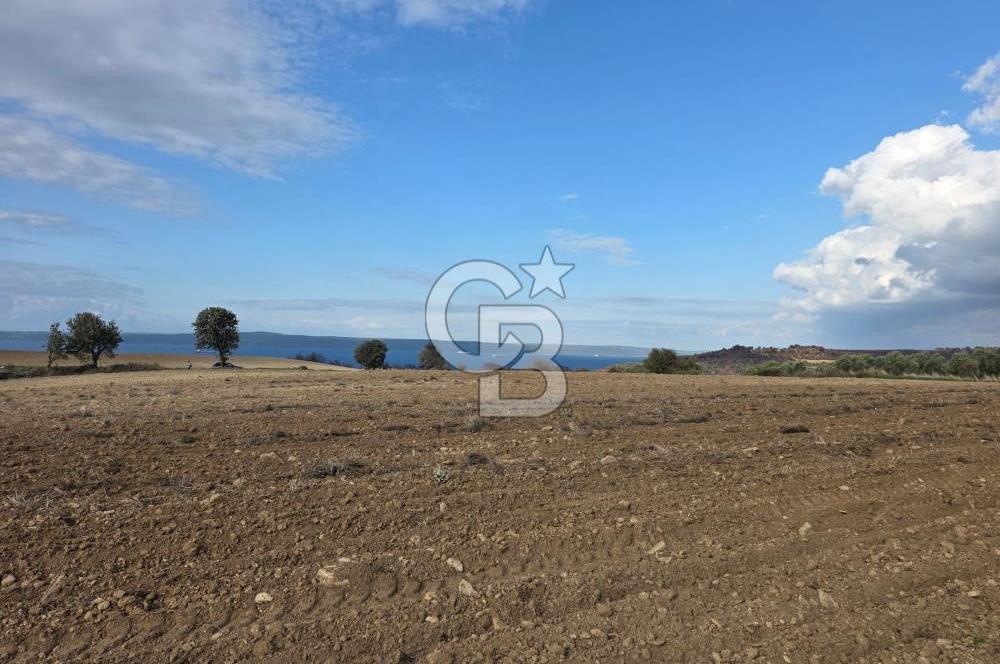 İNTEPE'DE DENİZ MANZARALI YOLU OLAN FIRSAT TARLA!!!