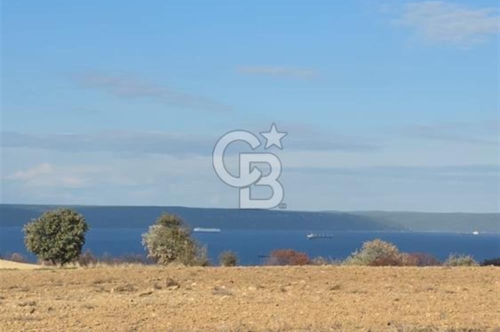 İNTEPE'DE DENİZ MANZARALI YOLU OLAN FIRSAT TARLA!!!