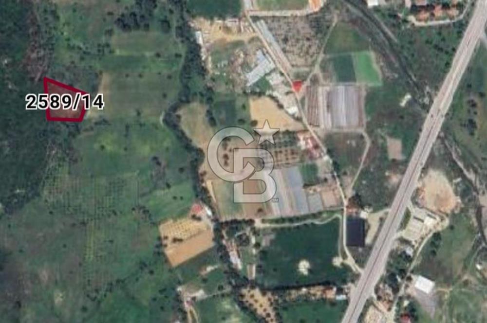 Güzelbahçe Çamlı İmar Sınırında 1.032,52 m² Yatırım İçin Fırsat Arazi